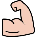 אימונים
